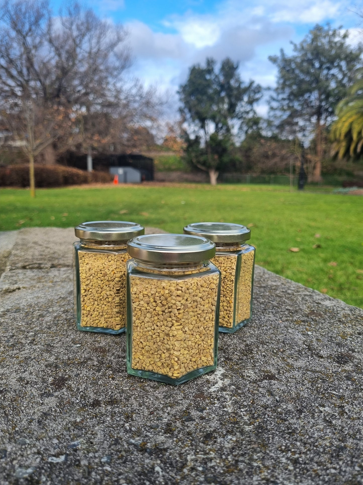 Ethereal Bee Pollen